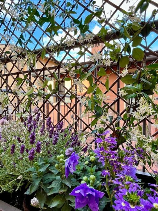 La Casa Di Nina - Appartamento 1 Valeggio sul Mincio Eksteriør billede